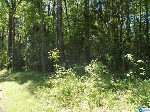71 Swindle Dr #1, Adamsville, AL 35005