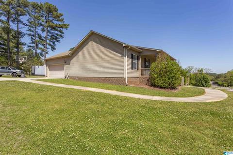 800 Cheyenne Dr, Warrior, AL 35180 photo 6