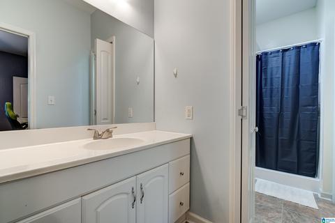 12488 Mcmath Trl, Mc Calla, AL 35111 photo 41