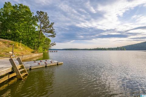 202 Cherry St, Ohatchee, AL 36271 photo 63