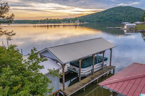 202 Cherry St, Ohatchee, AL 36271 photo 61