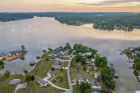 202 Cherry St, Ohatchee, AL 36271 photo 50