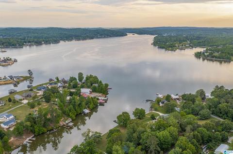 202 Cherry St, Ohatchee, AL 36271 photo 40