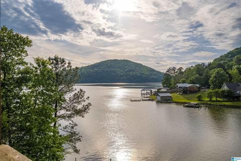 202 Cherry St, Ohatchee, AL 36271 photo 45