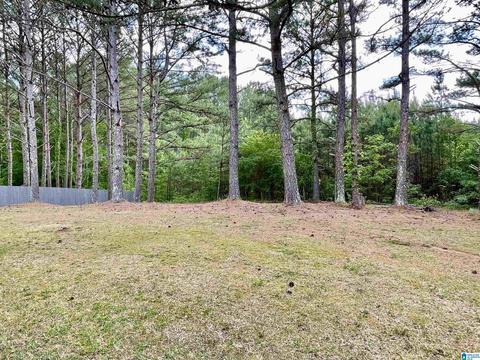 189 Panoramic Cir, Warrior, AL 35180 photo 11