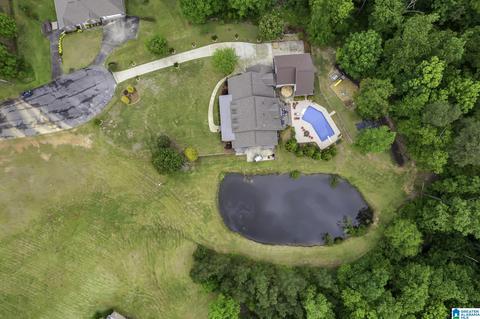 492 Docs Dr, Dora, AL 35062 photo 86