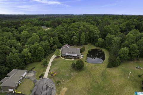 492 Docs Dr, Dora, AL 35062 photo 82