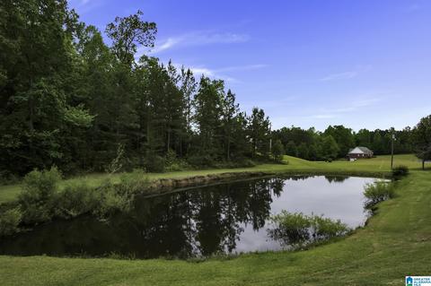 492 Docs Dr, Dora, AL 35062 photo 67