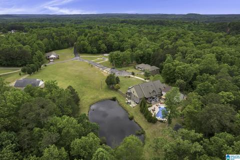 492 Docs Dr, Dora, AL 35062 photo 85