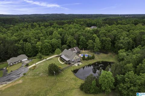 492 Docs Dr, Dora, AL 35062 photo 83