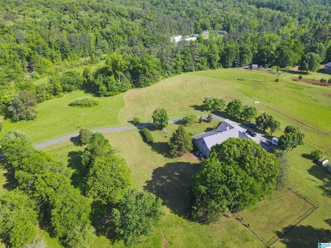 1189 Red Valley Rd, Remlap, AL 35133 photo 34