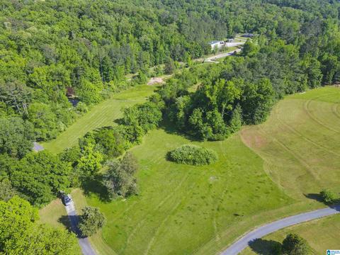 1189 Red Valley Rd, Remlap, AL 35133 photo 35