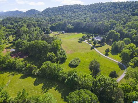 1189 Red Valley Rd, Remlap, AL 35133 photo 36