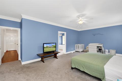 1189 Red Valley Rd, Remlap, AL 35133 photo 18