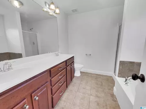 141 Falling Waters Ln, Maylene, AL 35114 photo 18
