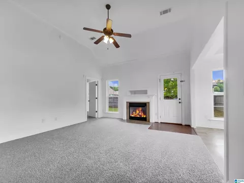 141 Falling Waters Ln, Maylene, AL 35114 photo 3