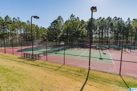 113 Tintern Abbey, Alabaster, AL 35007 photo 35