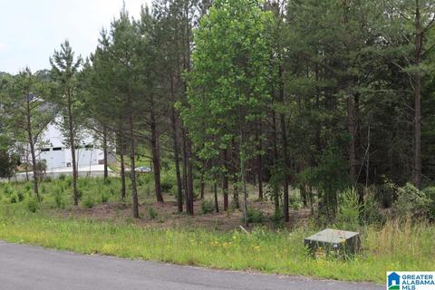 0 Hillside Dr #12, Fort Payne, AL 35968