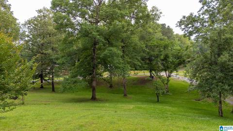649 Tomahawk Trl, Riverside, AL 35135 photo 17