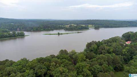 649 Tomahawk Trl, Riverside, AL 35135 photo 13