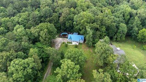 649 Tomahawk Trl, Riverside, AL 35135 photo 9