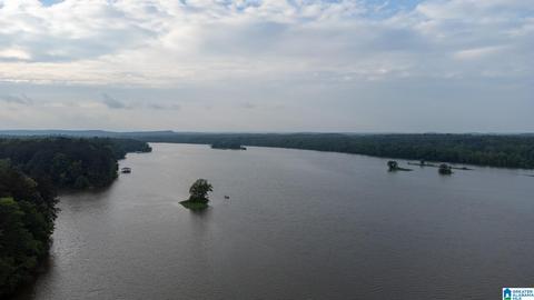649 Tomahawk Trl, Riverside, AL 35135 photo 10