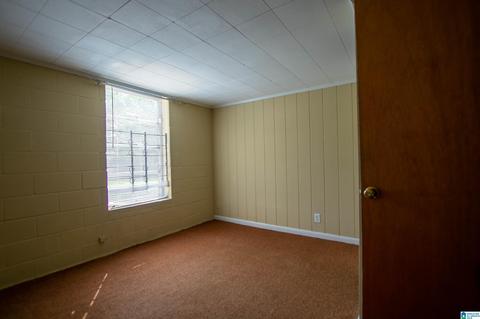 9 Pine Cir, Oneonta, AL 35121 photo 54