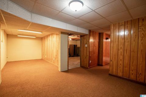 9 Pine Cir, Oneonta, AL 35121 photo 51