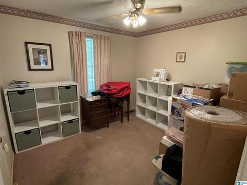 6696 Burchfield Loop, Mc Calla, AL 35111 photo 20