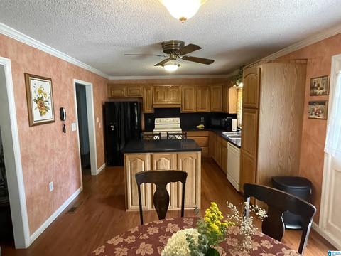 6696 Burchfield Loop, Mc Calla, AL 35111 photo 14