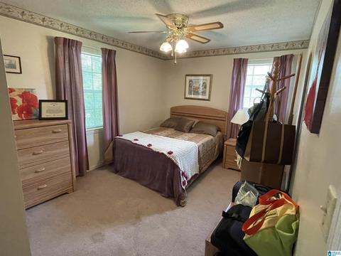 6696 Burchfield Loop, Mc Calla, AL 35111 photo 19