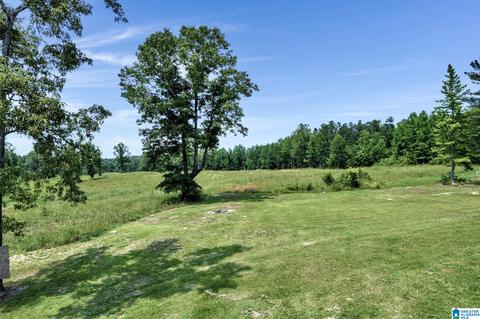 2775 Corner Rd, Warrior, AL 35180 photo 34