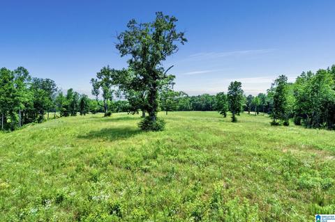 2775 Corner Rd, Warrior, AL 35180 photo 46
