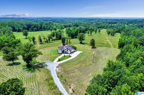 2775 Corner Rd, Warrior, AL 35180 photo 36