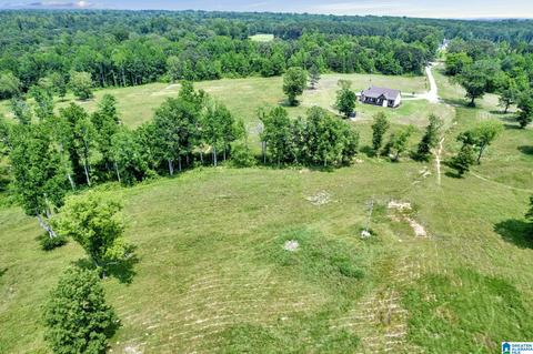 2775 Corner Rd, Warrior, AL 35180 photo 47