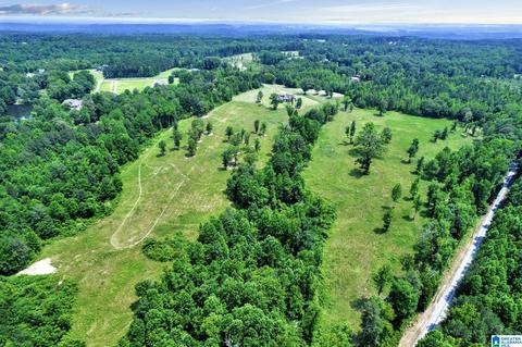 2775 Corner Rd, Warrior, AL 35180 photo 42