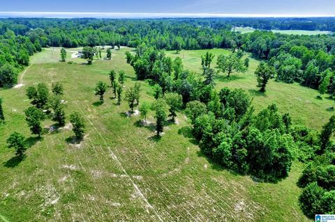 2775 Corner Rd, Warrior, AL 35180 photo 40