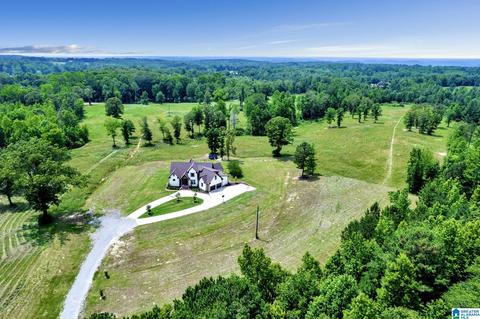 2775 Corner Rd, Warrior, AL 35180 photo 35