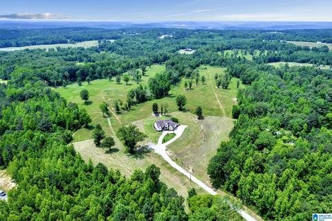 2775 Corner Rd, Warrior, AL 35180 photo 37