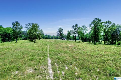 2775 Corner Rd, Warrior, AL 35180 photo 41