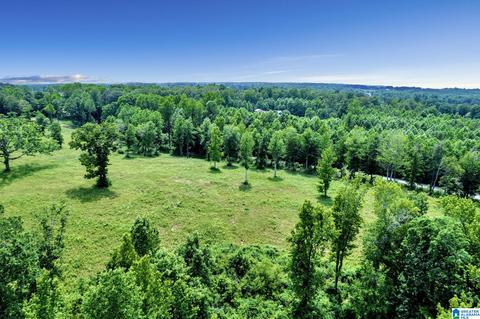 2775 Corner Rd, Warrior, AL 35180 photo 44