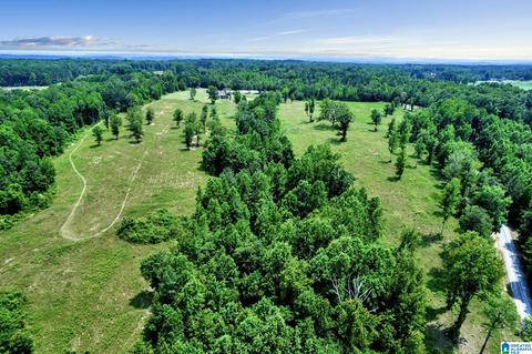 2775 Corner Rd, Warrior, AL 35180 photo 39