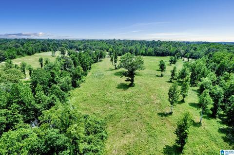 2775 Corner Rd, Warrior, AL 35180 photo 45