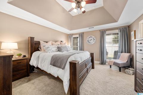 216 Falling Waters Way, Maylene, AL 35114 photo 14
