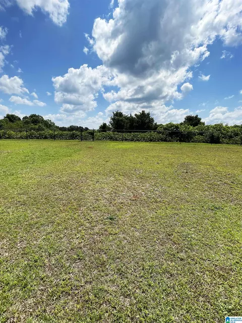 334 Bailey Rd, Weaver, AL 36277 photo 5