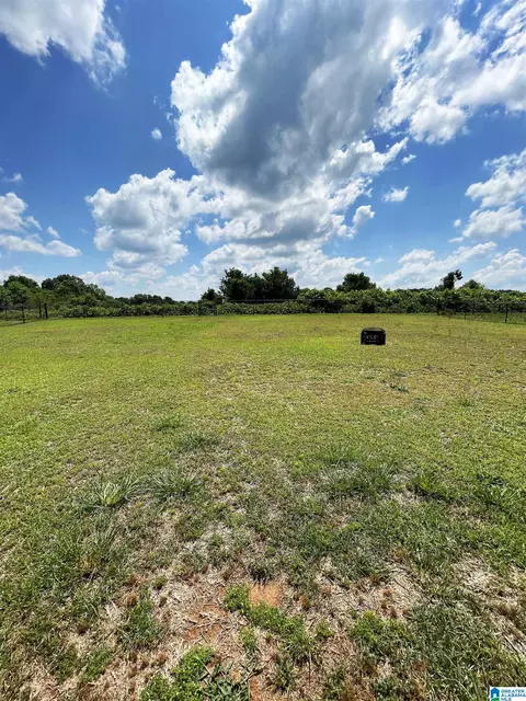 334 Bailey Rd, Weaver, AL 36277 photo 25