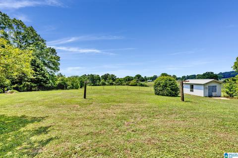 281 Lakeview St, Steele, AL 35987 photo 2