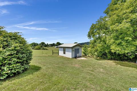 281 Lakeview St, Steele, AL 35987 photo 3