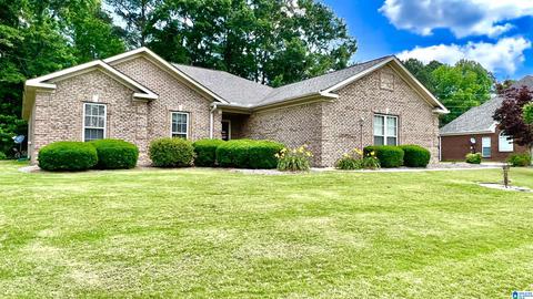 46 County Road 80, Clanton, AL 35045 photo 28