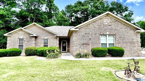46 County Road 80, Clanton, AL 35045 photo 1